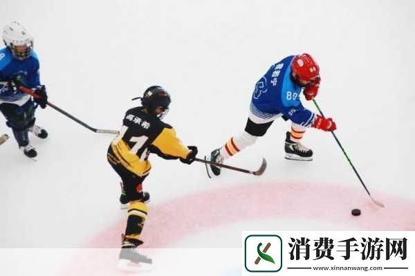 冰球玩家评价分析1.