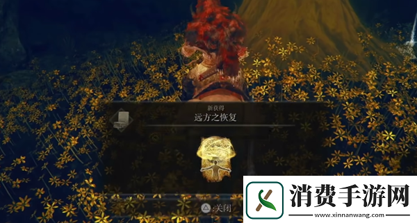 艾尔登法环dlc远方之恢复如何获取
