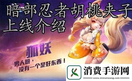 天天风之旅胡桃夹子好不好