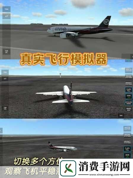 在璀璨的娱乐圈中