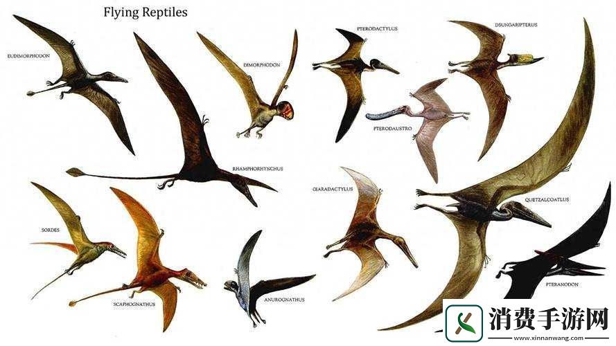 哈啊身体为何变得越来越奇怪