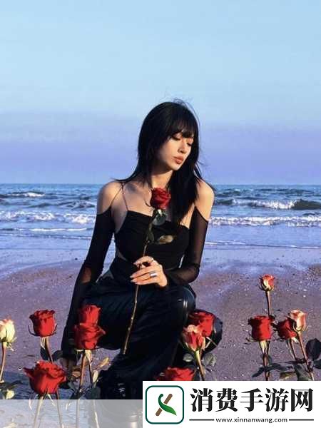 无人区的玫瑰总比野草好什么意思