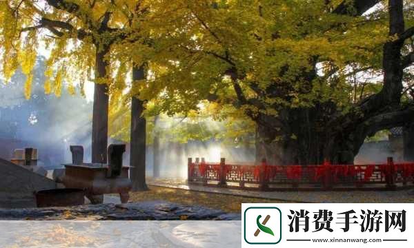 划船至河中央的启示1.