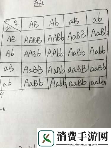 AABB与AAAA的区别据说能找到齐全的视频资源