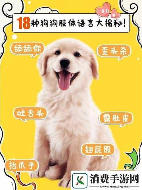 人狗胶配方大全狗狗一