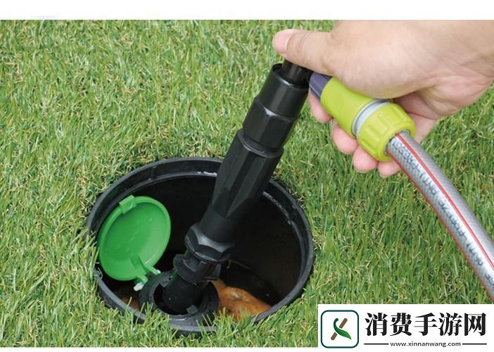 “苏软软”魅力难挡