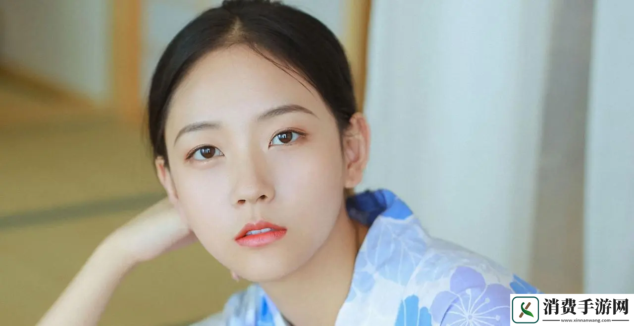 秘密入口mini6的安全保护