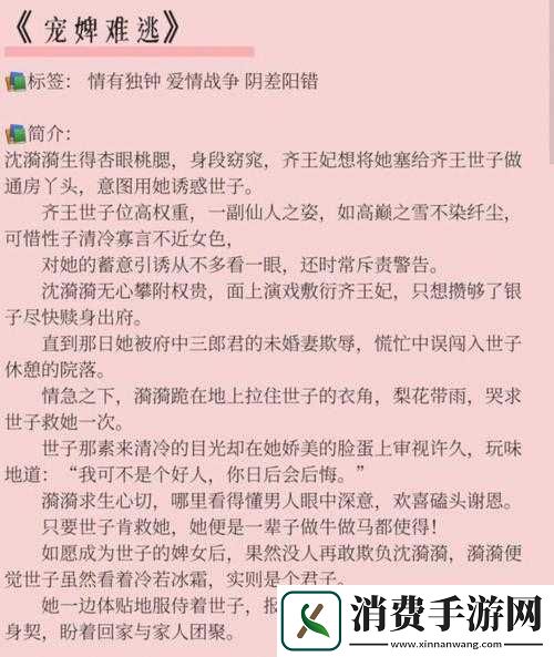 霸道王爷的狂野娇妃
