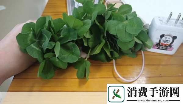 成品人和精品人的区别四叶草主播大量跳槽