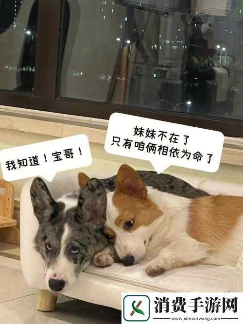 呀你这狗东西竟敢勾引我儿子