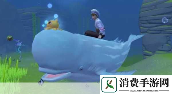 冰冠冰川宠物主题探秘1.