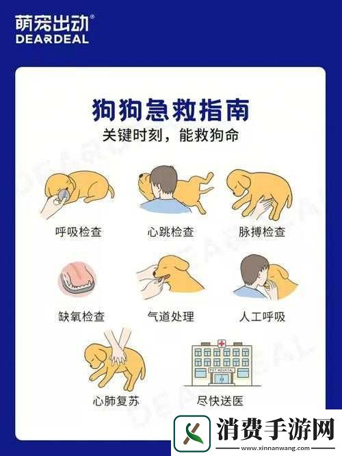 阿瑞斯病毒2小狗急救指南