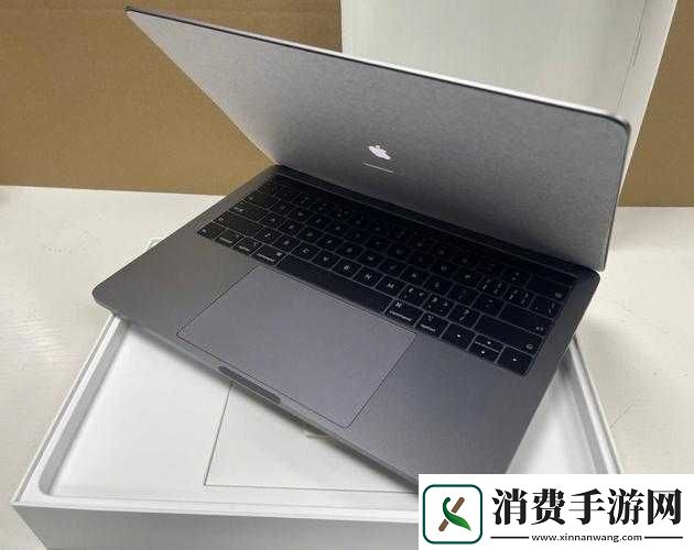 19岁MacBookPro欧美市场的发展历程