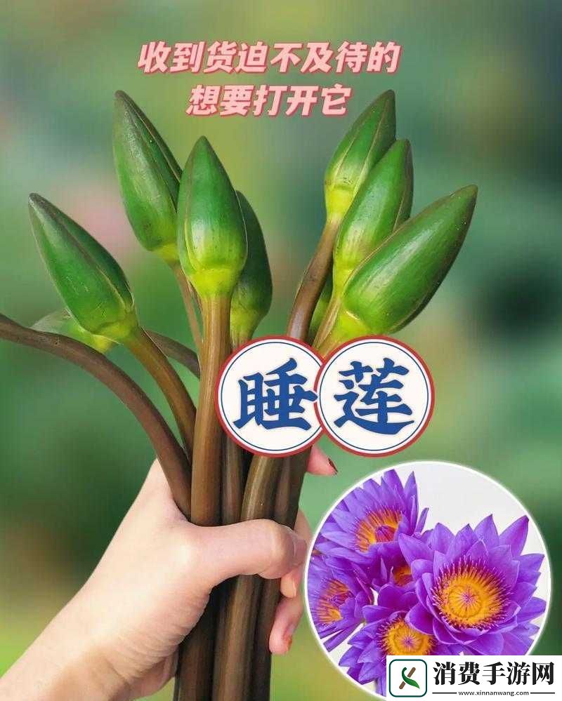女性半夜莲花开放的治疗方法
