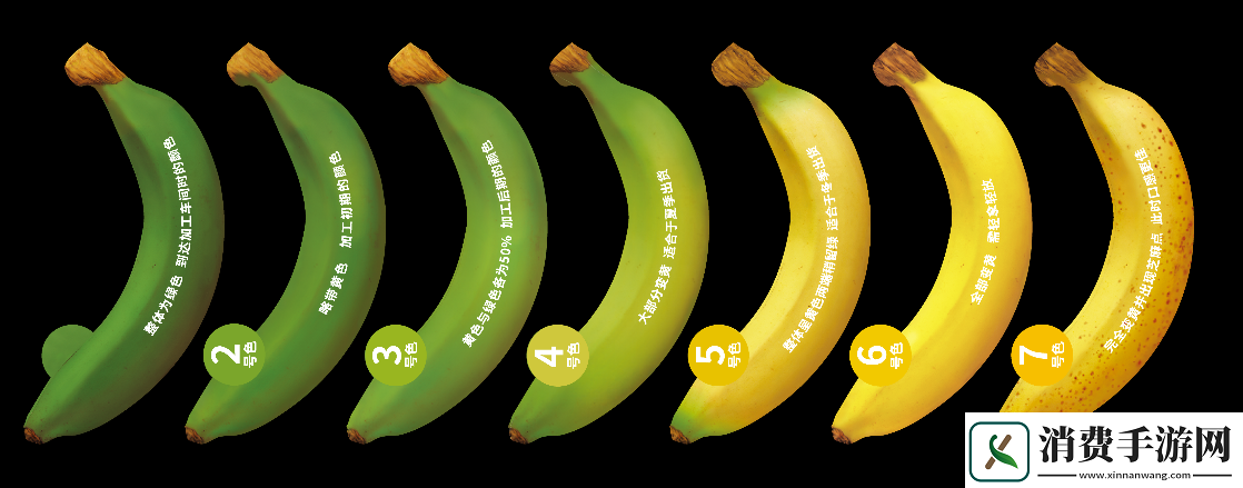 香蕉十八度和二十三度的区别