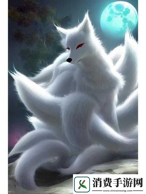 全面解析灵狐公主能力