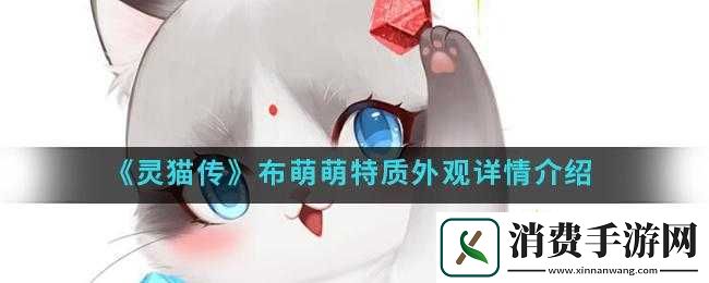 灵猫传布萌萌有什么特点