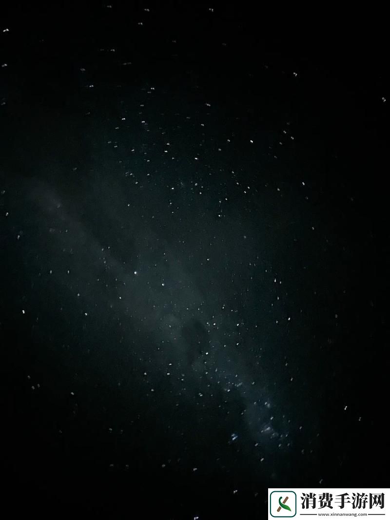 星空下的免费狂欢