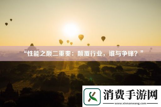 “性能之巅二重奏