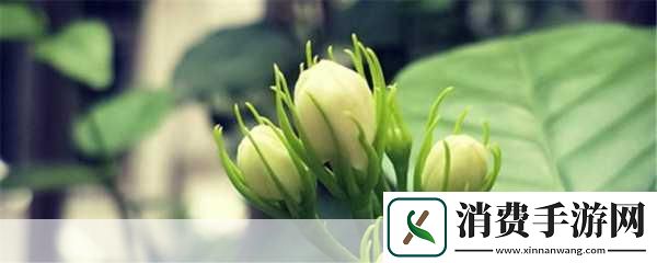 ***看片影视大全