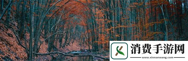 宝宝把腿抬起来靠墙上怎么回事