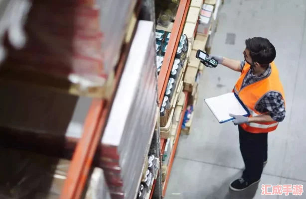 高效整理地灵套装巧解仓库杂乱难题的实用策略