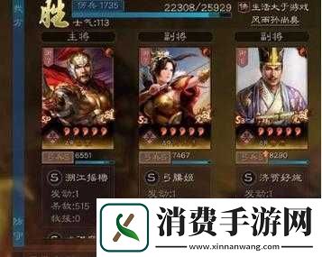 鲁肃公孙最新阵容解析