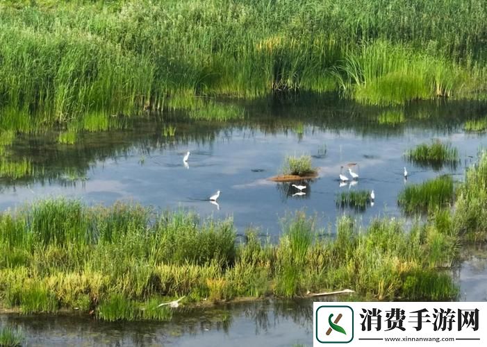 绿意盎然海角2023