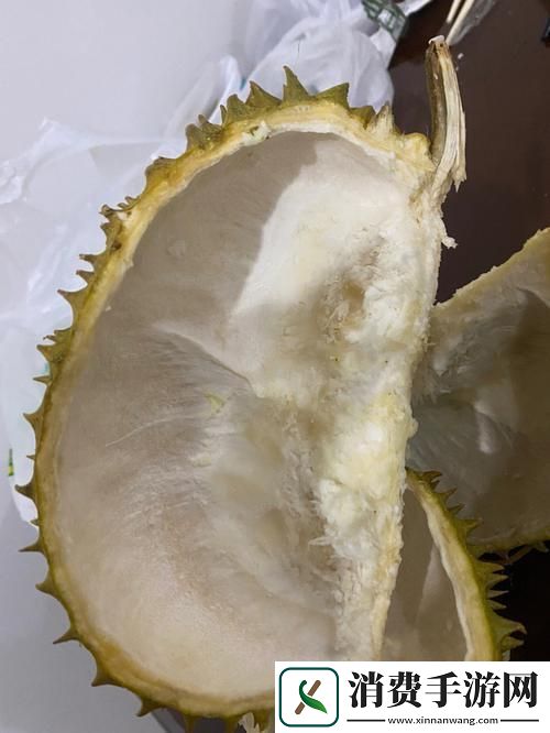 “醒来的汆肉奇梦