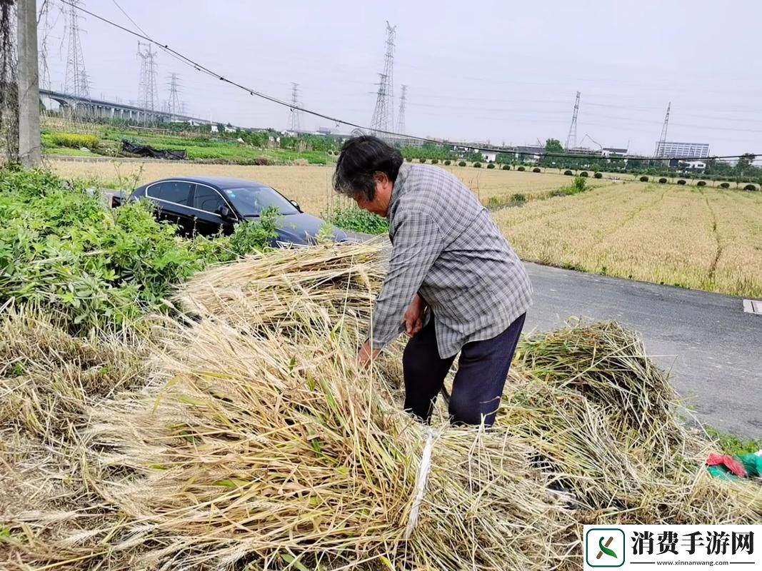 “子耕母田”的戏码