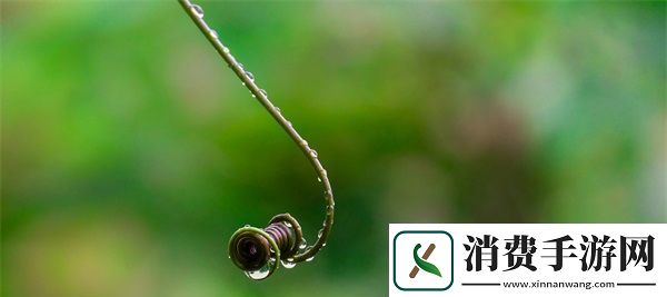 草莓湿漉漉是好事还是恶性