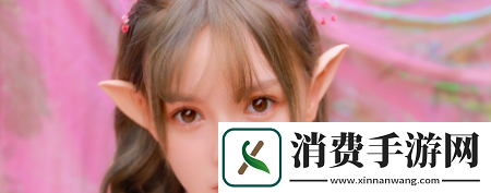 双跳DAN怎么用放在哪