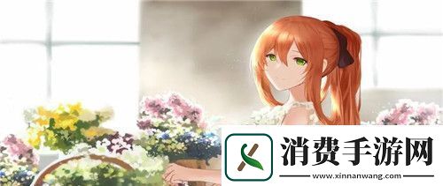 免费的短视频APP大全下载安装