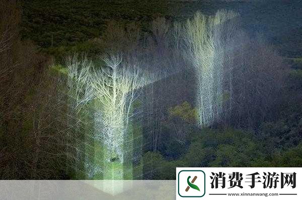 HDHDHD17XXXⅩ主题探索概述