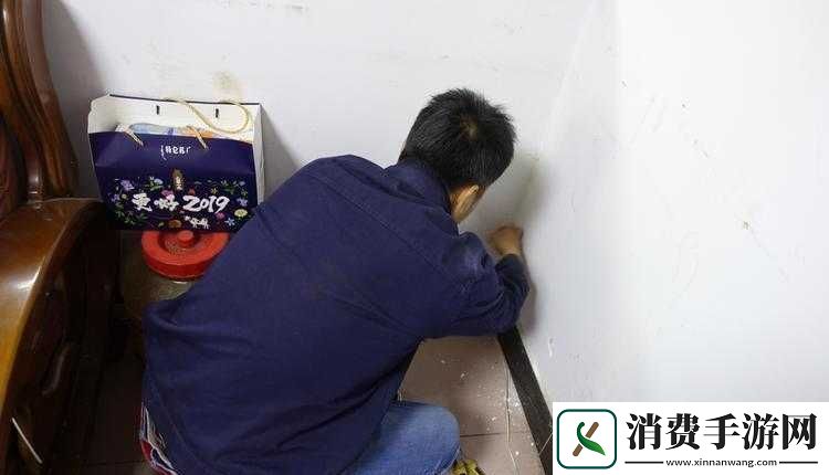 老谢赵敏业主维修工