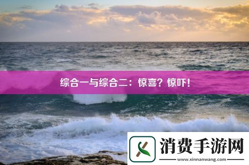 综合一与综合二