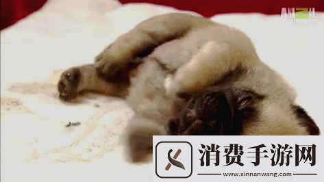 刚入睡时感觉巨大物体在动且似有异动