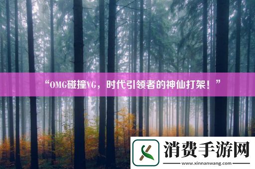 “OMG碰撞VG