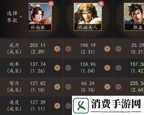 三国志战略版祝融夫人属性与阵容搭配解析