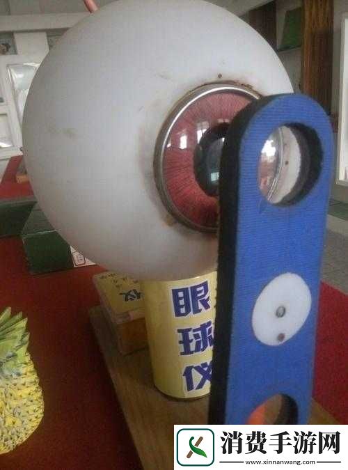 我成了生物课的教具