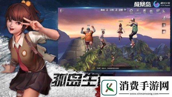 风暴岛椰子使用方法介绍