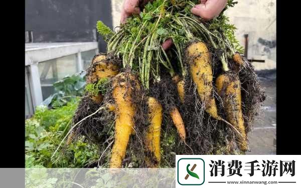 嘿呦一二呦换新接口了!友