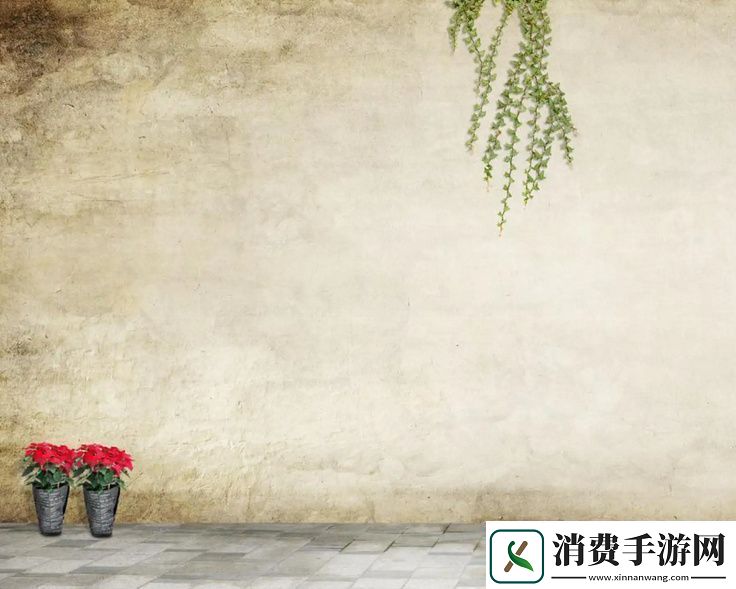 欧洲尺码日本尺码专线美国t的详细对比解析与指导