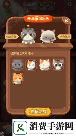 猫语咖啡新手攻略