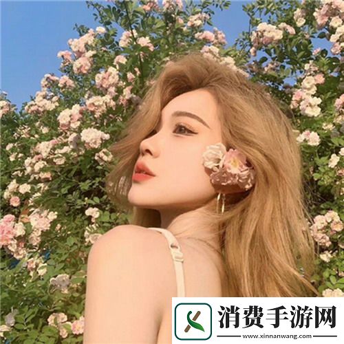 高清windows免费版观看视频画质极致