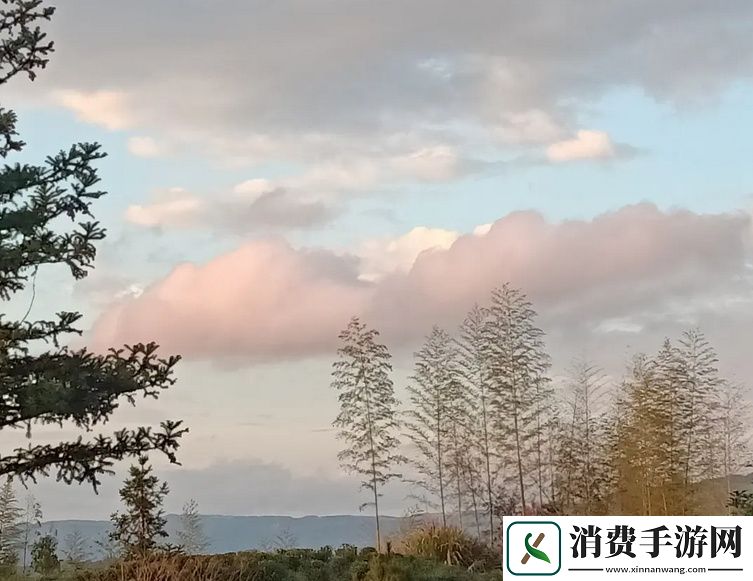 四叔一次又一次索取盛年岂是情谊的考量还是斤斤计较的表现