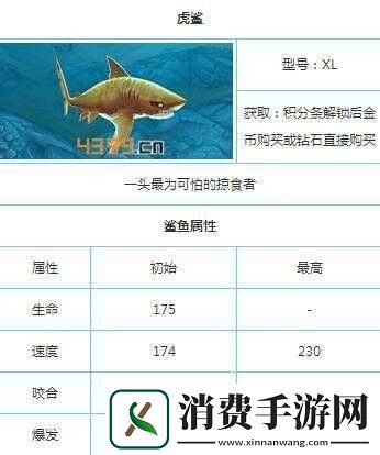 饥饿的鲨鱼虎鲨能力剖析