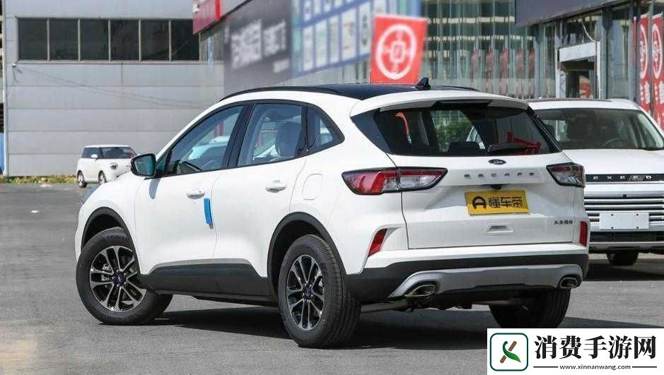 国产SUV精二区九色