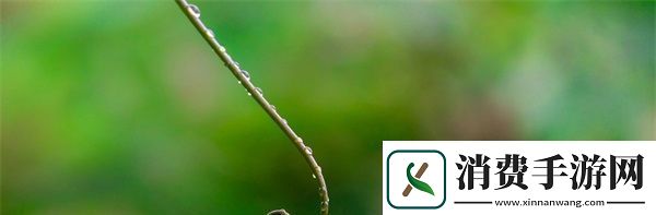 宠溺无边1v3双胞胎