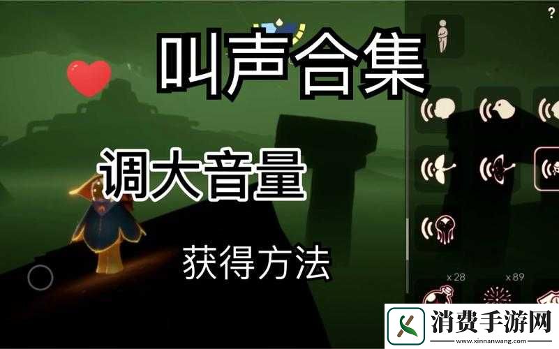 光遇游戏中如何获取鲸鱼叫声